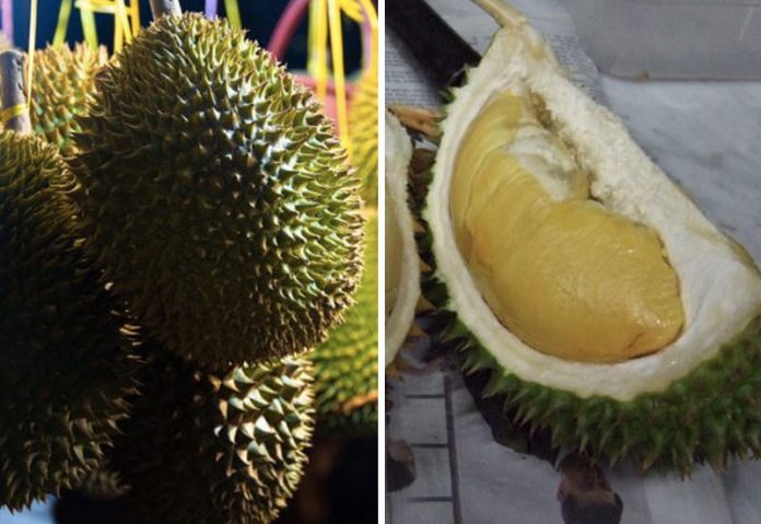 Durian meyvesi kokusu